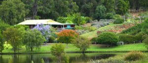 Pemberton Lavender and Berry Farm Cafe and Cottages - Accommodation Fremantle