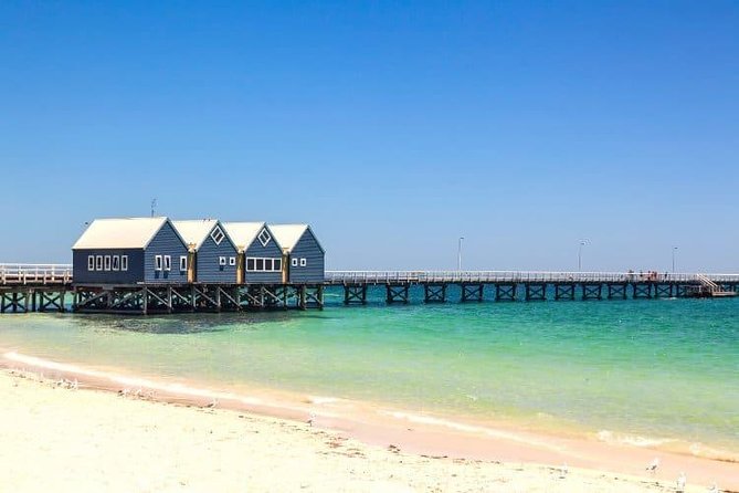 Busselton and scenic drive full day tour - Accommodation Fremantle