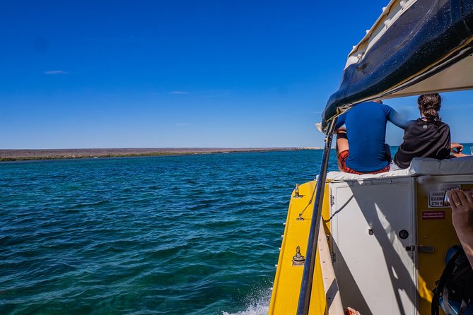 Ningaloo Immersion Private Charter - Accommodation Fremantle